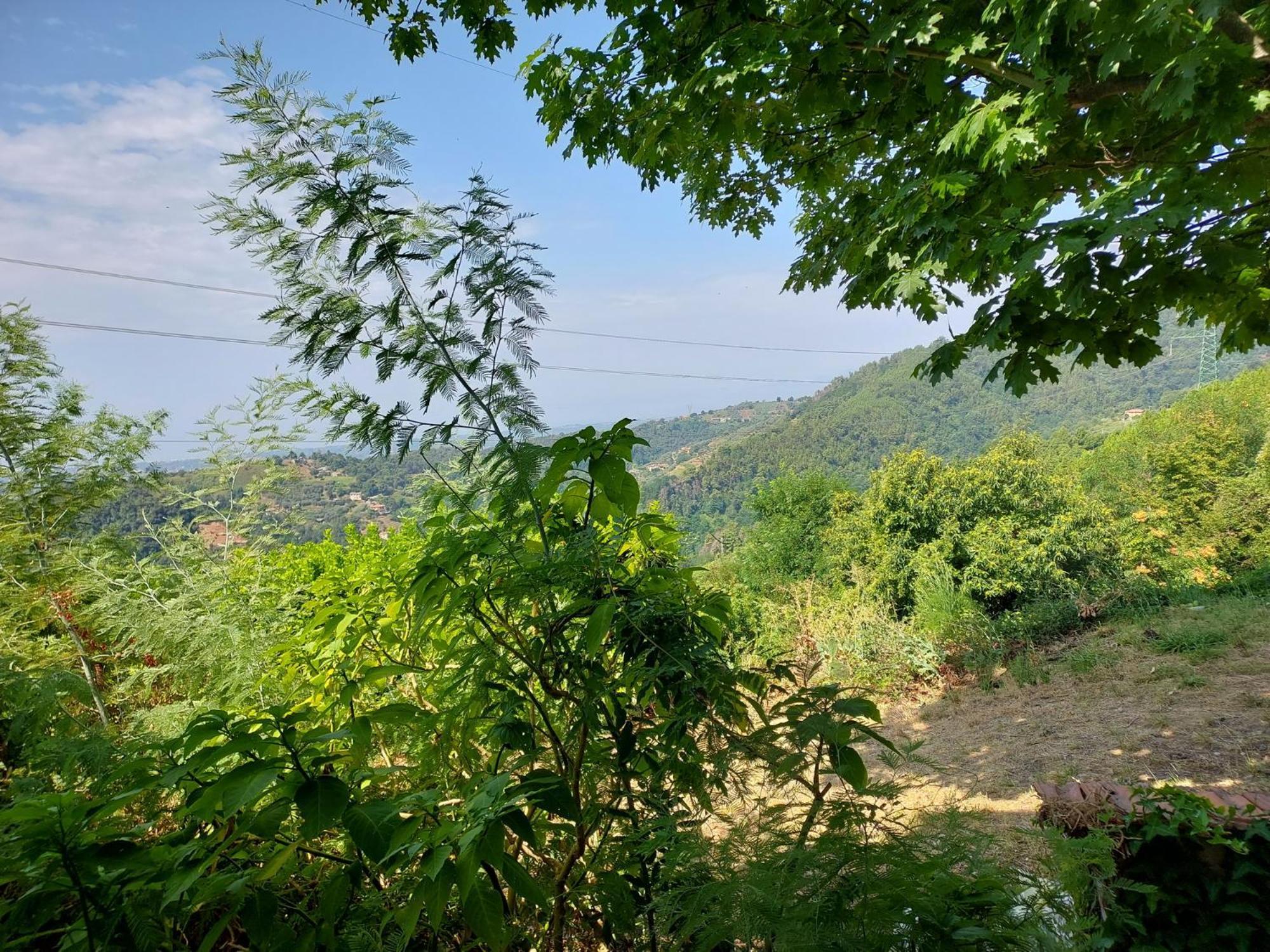 Casa Peppina Villa Strettoia Bagian luar foto
